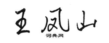 駱恆光王鳳山行書個性簽名怎么寫