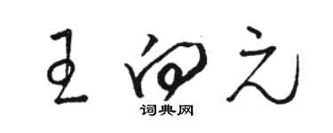 駱恆光王向元草書個性簽名怎么寫