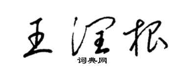 梁錦英王潤根草書個性簽名怎么寫