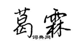 王正良葛霖行書個性簽名怎么寫