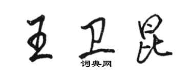 駱恆光王衛昆行書個性簽名怎么寫