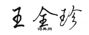 駱恆光王全珍行書個性簽名怎么寫