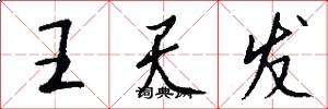 王天發怎么寫好看