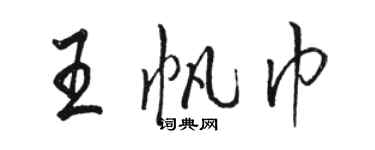 駱恆光王帆巾行書個性簽名怎么寫