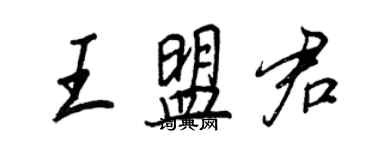 王正良王盟君行書個性簽名怎么寫