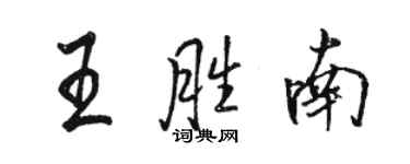 駱恆光王勝南行書個性簽名怎么寫
