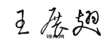 駱恆光王展翅草書個性簽名怎么寫