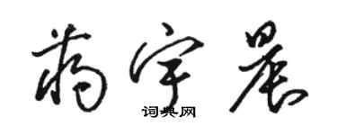 駱恆光蔣宇晨草書個性簽名怎么寫