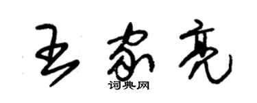 朱錫榮王家亮草書個性簽名怎么寫