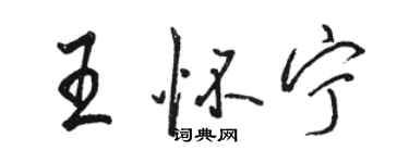 駱恆光王懷寧行書個性簽名怎么寫