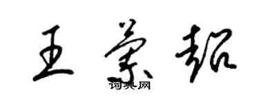 梁錦英王蘭超草書個性簽名怎么寫