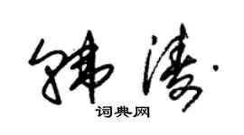 朱錫榮韓濤草書個性簽名怎么寫