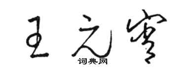 駱恆光王元宵草書個性簽名怎么寫