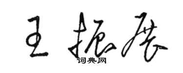 駱恆光王振展草書個性簽名怎么寫