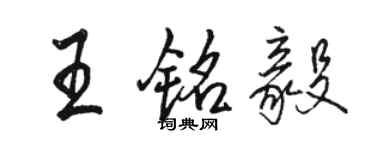 駱恆光王銘毅行書個性簽名怎么寫