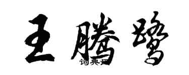 胡問遂王騰鷺行書個性簽名怎么寫