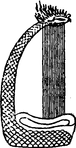箜篌_箜篌介紹_歷史知識