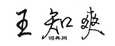 駱恆光王知爽行書個性簽名怎么寫