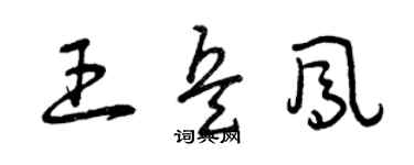 曾慶福王兵鳳草書個性簽名怎么寫