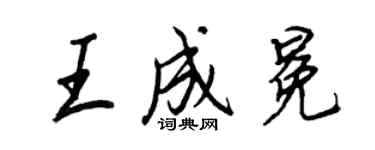 王正良王成冕行書個性簽名怎么寫