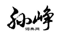 胡問遂孫崢行書個性簽名怎么寫