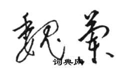 駱恆光魏蘭草書個性簽名怎么寫