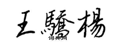 王正良王驕楊行書個性簽名怎么寫