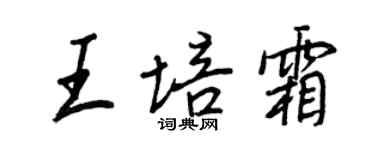 王正良王培霜行書個性簽名怎么寫