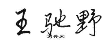 駱恆光王馳野行書個性簽名怎么寫