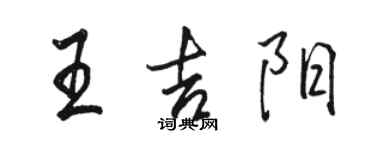 駱恆光王吉陽行書個性簽名怎么寫
