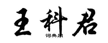 胡問遂王科君行書個性簽名怎么寫