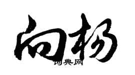 胡問遂向楊行書個性簽名怎么寫