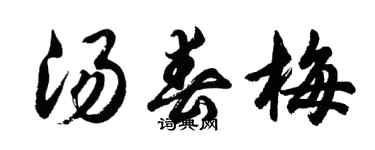 胡問遂湯春梅行書個性簽名怎么寫