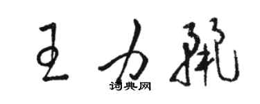 駱恆光王力麗草書個性簽名怎么寫