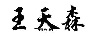 胡問遂王天森行書個性簽名怎么寫