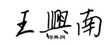 王正良王興南行書個性簽名怎么寫