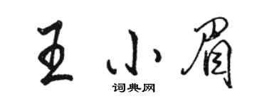 駱恆光王小眉行書個性簽名怎么寫