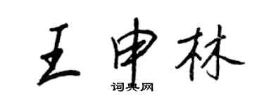 王正良王申林行書個性簽名怎么寫