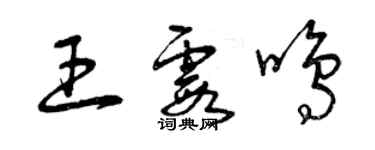 曾慶福王霞鳴草書個性簽名怎么寫