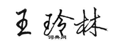 駱恆光王玲林行書個性簽名怎么寫