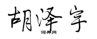 曾慶福胡澤宇行書個性簽名怎么寫