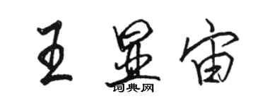 駱恆光王顯宙行書個性簽名怎么寫