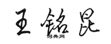 駱恆光王銘昆行書個性簽名怎么寫