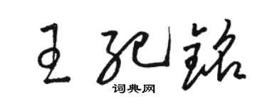 駱恆光王紀銘草書個性簽名怎么寫