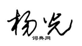 朱錫榮楊光草書個性簽名怎么寫