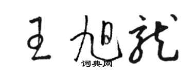 駱恆光王旭龍草書個性簽名怎么寫