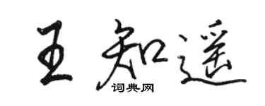 駱恆光王知遙行書個性簽名怎么寫