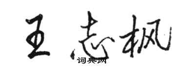 駱恆光王志楓行書個性簽名怎么寫