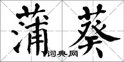 翁闓運蒲葵楷書怎么寫