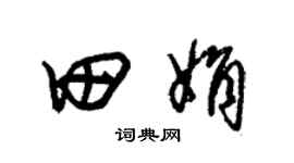 朱錫榮田娟草書個性簽名怎么寫